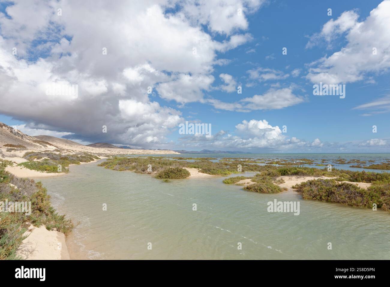 Laguna di Sotavento in alta marea, Fuerteventura, Isole Canarie, novembre. Foto Stock