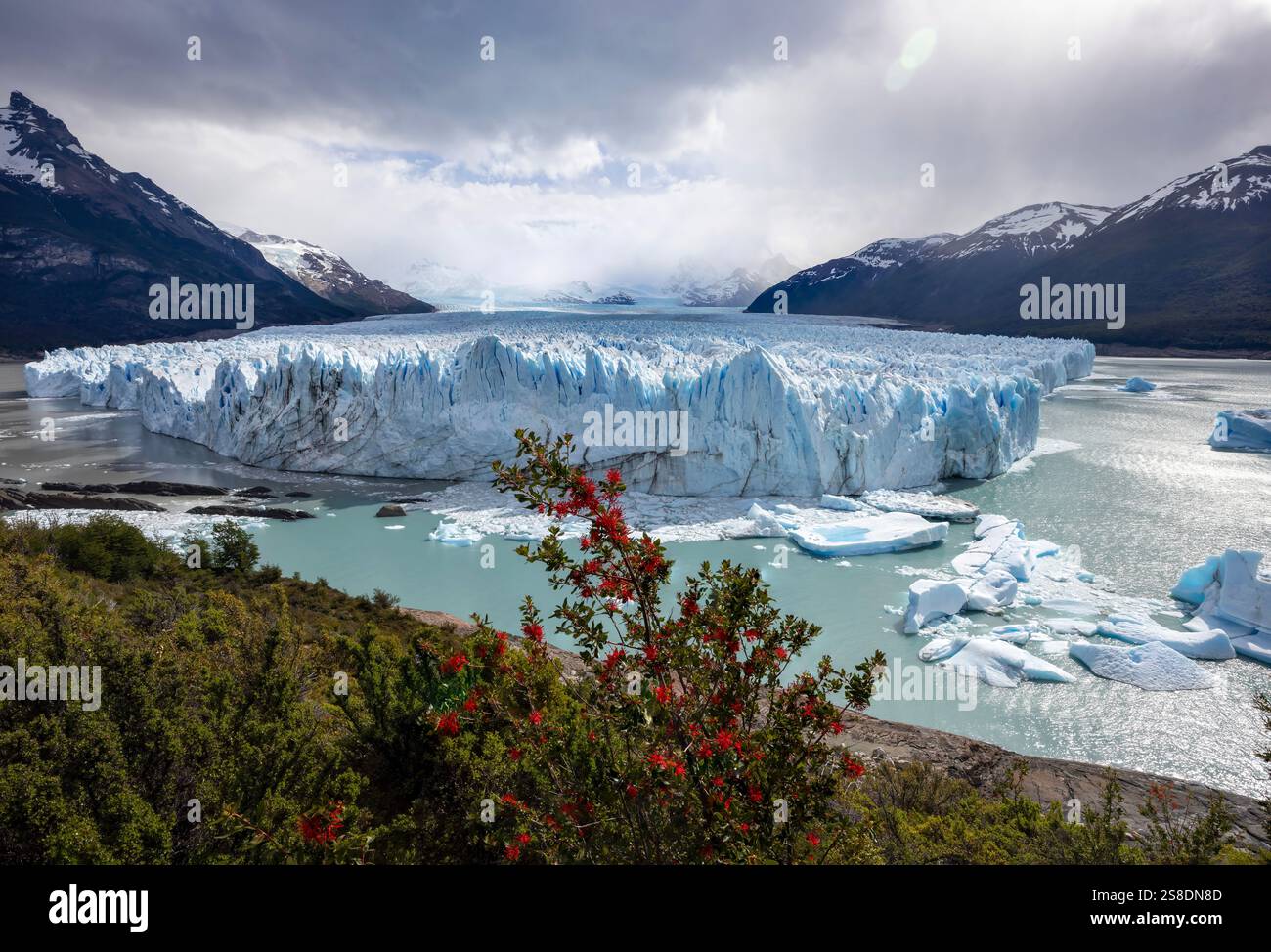 Il capolinea del ghiacciaio Perito Moreno, nel Parco Nazionale Los Glaciares, Argentina Foto Stock Il capolinea del ghiacciaio Perito Moreno, nel Parco Nazionale Los Glaciares, Argentina Foto Stock