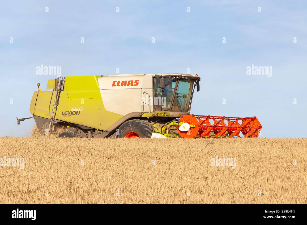 Agricoltore che raccoglie un campo di grano con una mietitrice Claas Lexion 650 al tramonto Foto Stock