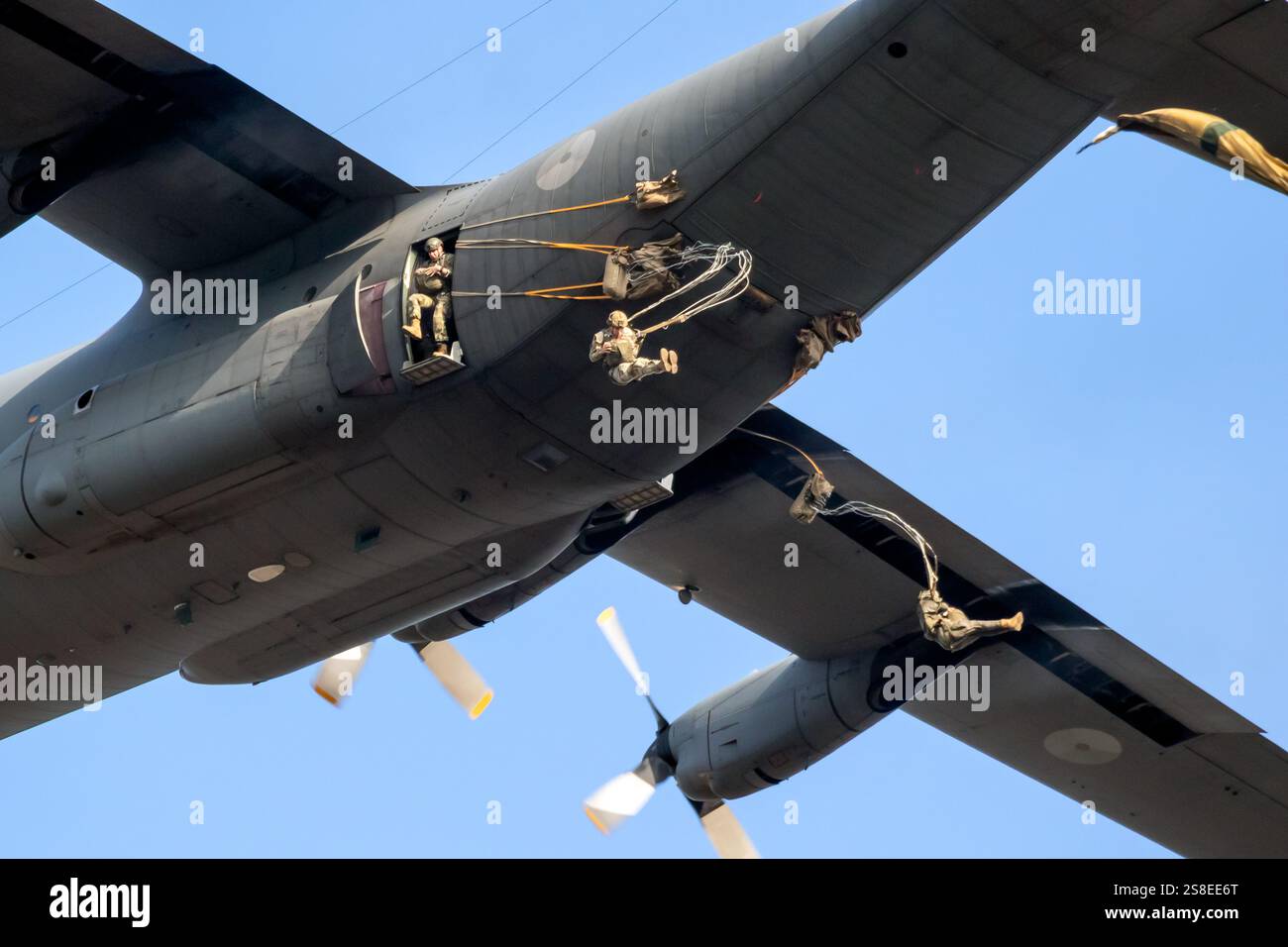 Paracadutisti militari NATO paracadutisti paracadutisti che saltano da un aereo da trasporto Lockheed C-130 Hercules. Paesi Bassi - 16 settembre 2023 Foto Stock