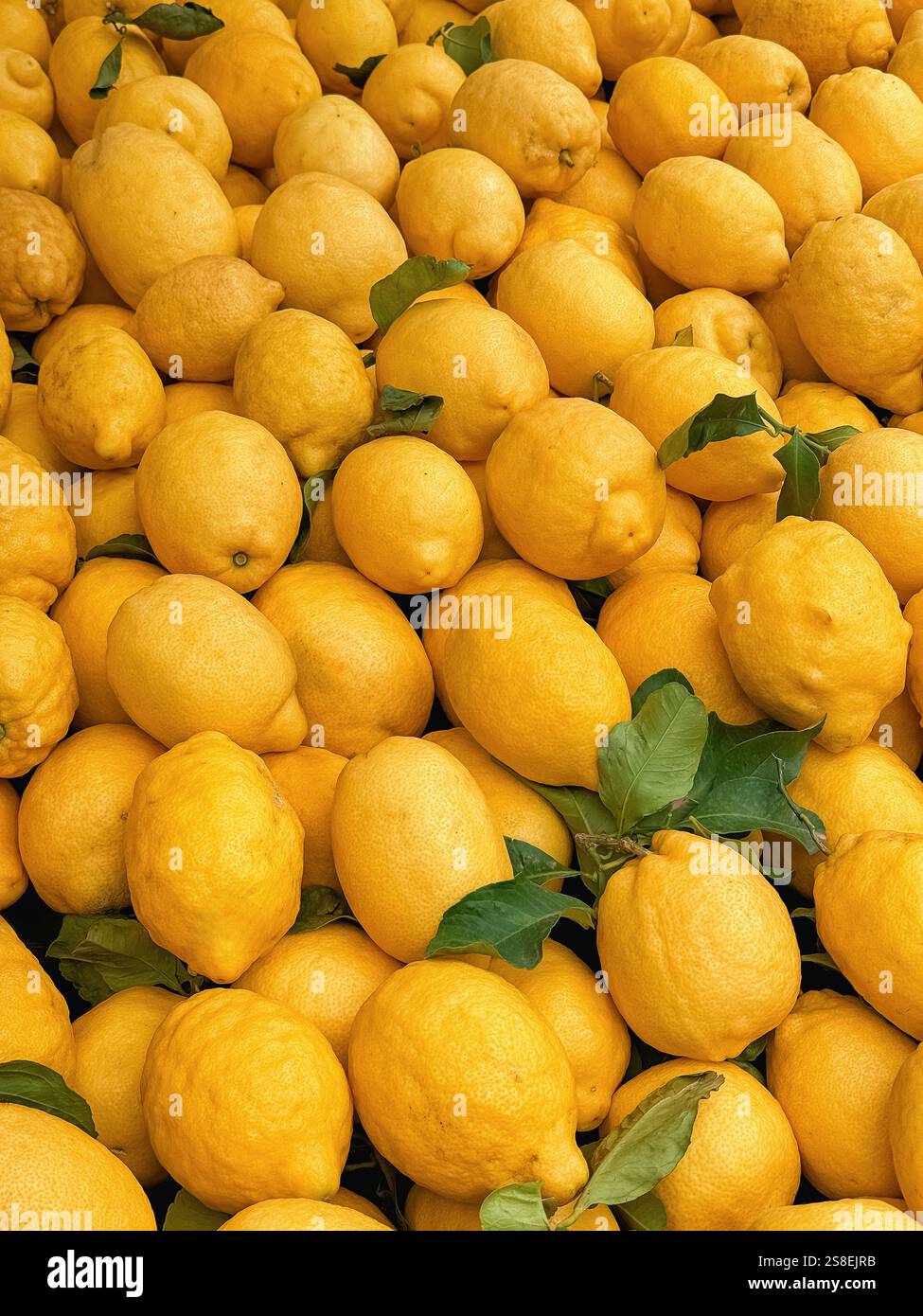 primo piano di fondo di limone giallo fresco Foto Stock