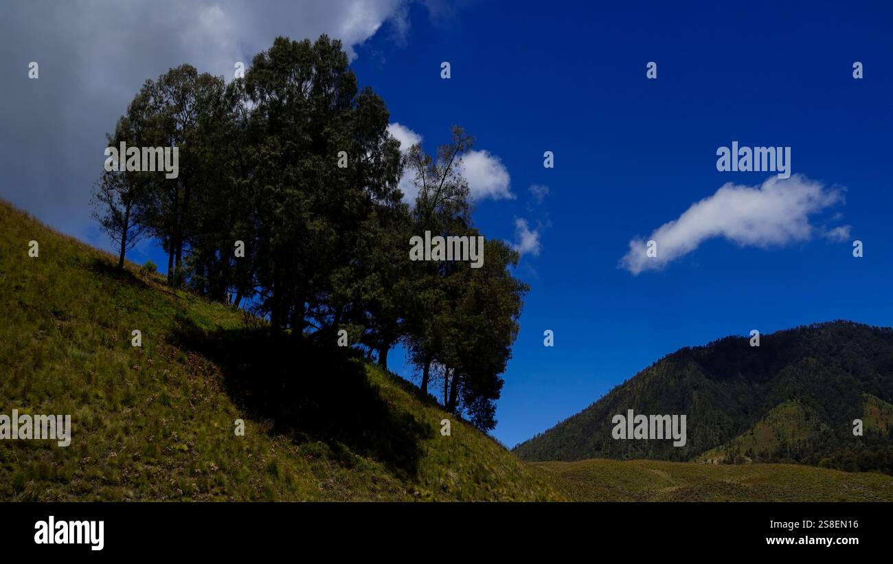 Montagna e cielo blu sullo sfondo con un grande albero Foto Stock