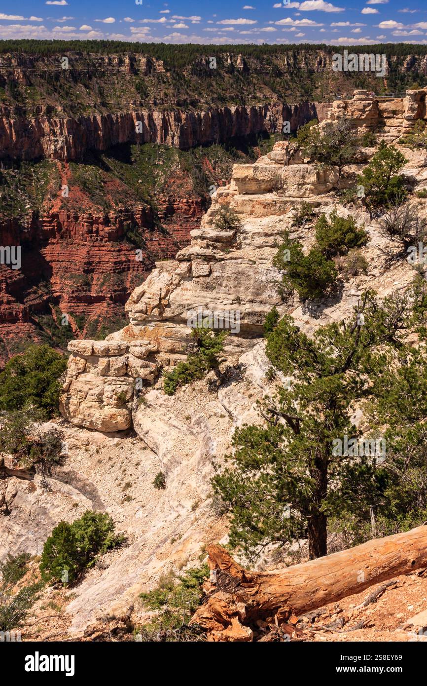 Il Grand Canyon National Park è uno dei parchi nazionali più antichi degli Stati Uniti e si trova in Arizona. All'interno del parco si trova il Grand Canyon, un gorg Foto Stock