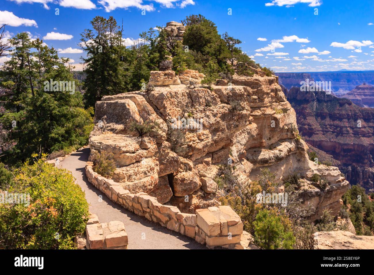 Il Grand Canyon National Park è uno dei parchi nazionali più antichi degli Stati Uniti e si trova in Arizona. All'interno del parco si trova il Grand Canyon, un gorg Foto Stock