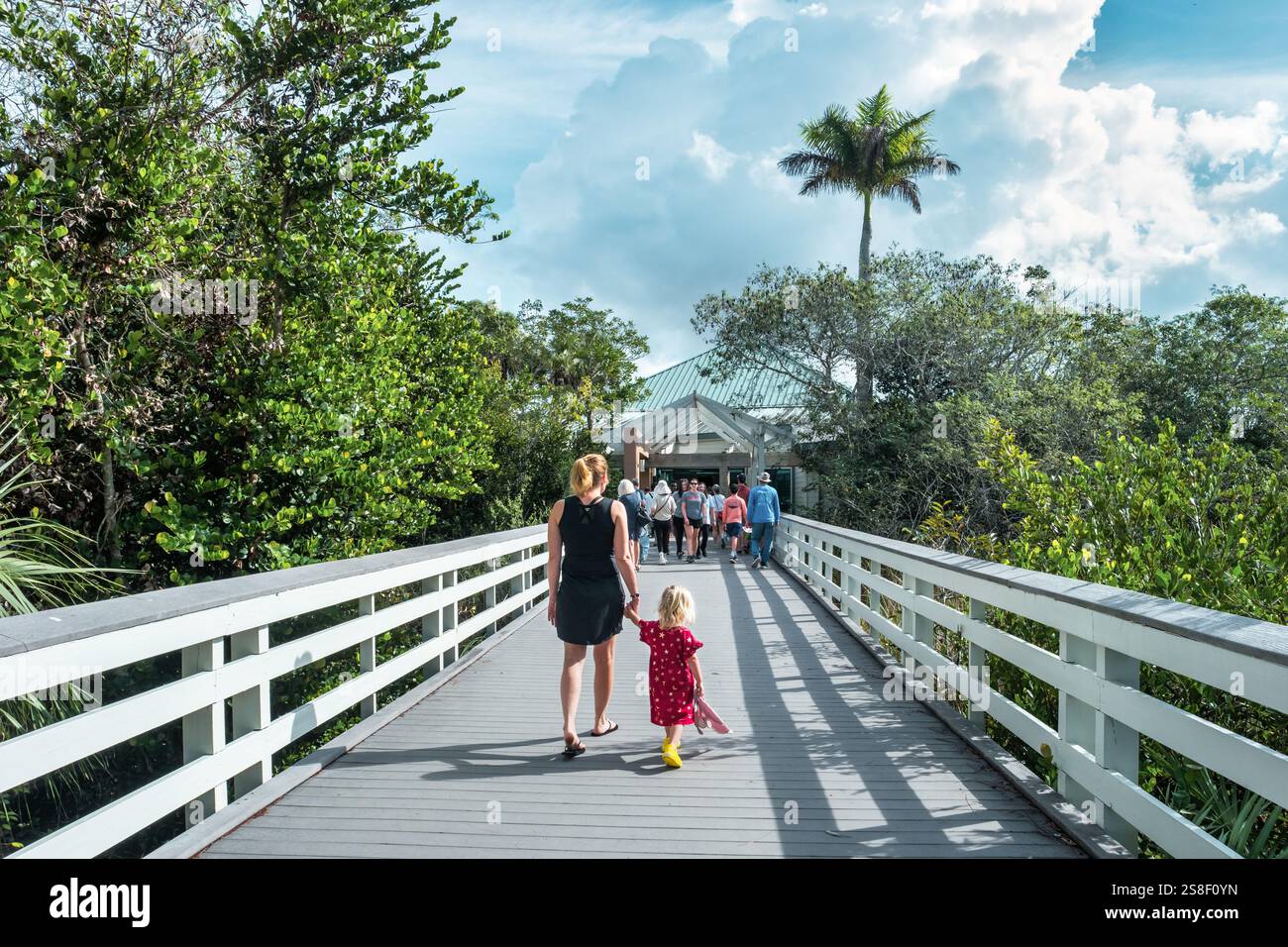 La gente visita l'Ernest F. Coe Visitor Center nell'Everglades National Park, Florida, Stati Uniti. Foto Stock