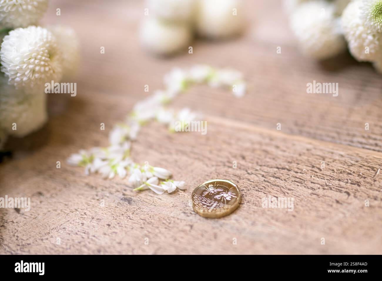 Accanto a una moneta da una sterlina si trova un segno in sterline fatto di petali bianchi e vivaci, che fonde natura con finanza, crescita sostenibile, investimenti Foto Stock