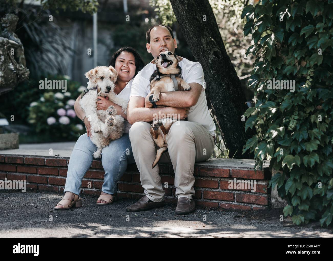 Coppia seduta su una panchina, ognuno con un cane. Lei, a sinistra, con un cane Fox terrier, e lui, a destra, con un cane marrone e nero. Latino Foto Stock