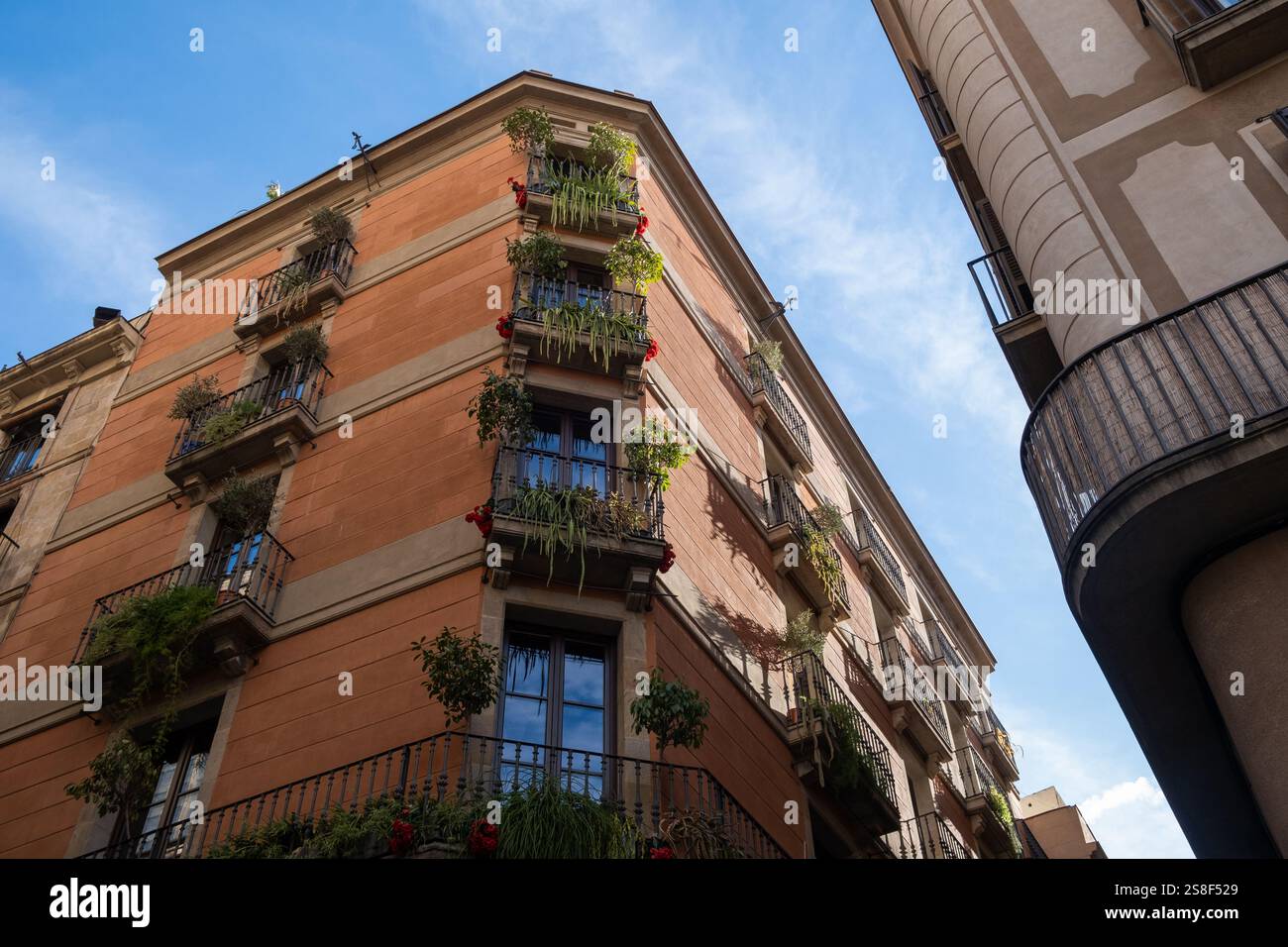 Vista dell'edificio di Barcellona all'interno del quartiere gotico. Le terrazze e le finestre hanno piante esotiche e danno la sensazione di un verde e sostenibile c Foto Stock