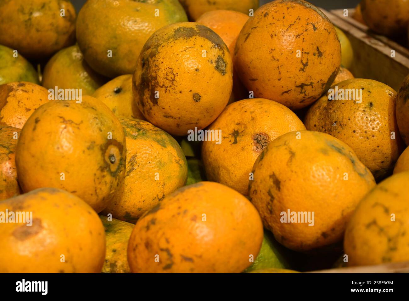 Un mucchio di arance Foto Stock