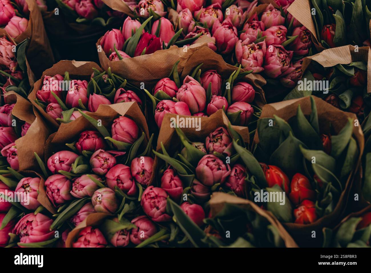 Tulipani rosa disposti in splendidi bouquet, che mostrano il loro colore vibrante e l'eleganza. Foto di alta qualità Foto Stock