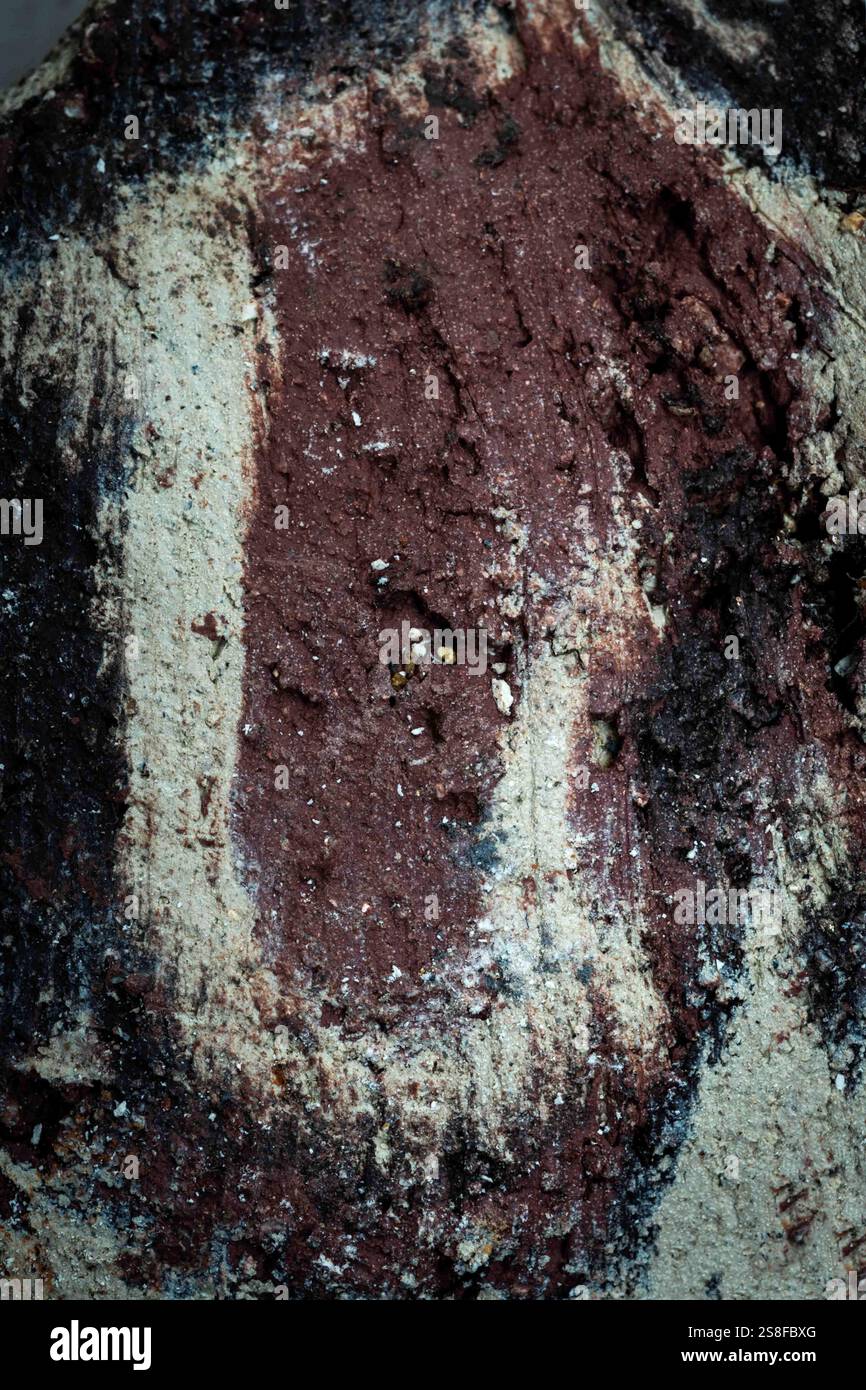 Esposizione dettagliata di materiali testurizzati con un mix di terra marrone e cenere grigia, creando un motivo astratto. Foto Stock