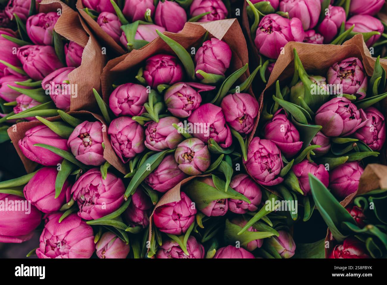 Tulipani rosa disposti in splendidi bouquet, che mostrano il loro colore vibrante e l'eleganza. Foto di alta qualità Foto Stock