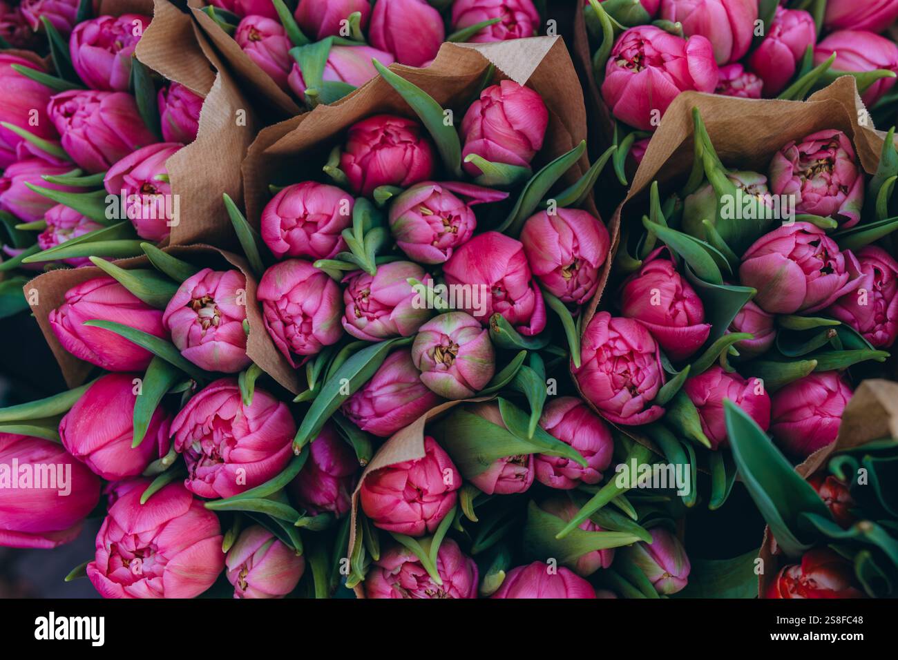 Tulipani rosa disposti in splendidi bouquet, che mostrano il loro colore vibrante e l'eleganza. Foto di alta qualità Foto Stock