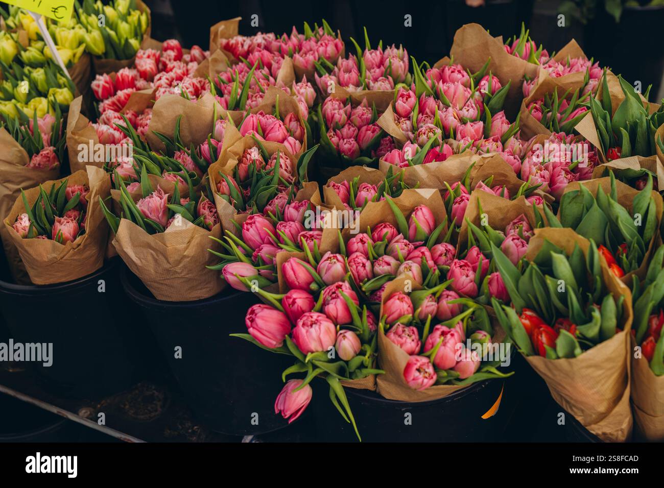 Tulipani rosa disposti in splendidi bouquet, che mostrano il loro colore vibrante e l'eleganza. Foto di alta qualità Foto Stock