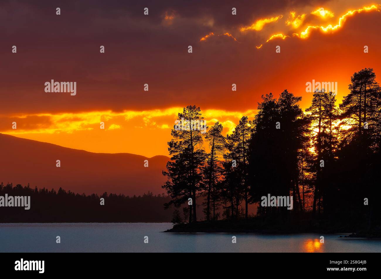Il tramonto mozzafiato illumina il cielo con sfumature calde mentre si modellano gli alberi lungo le tranquille rive del lago Burusjön in Svezia. La bellezza della natura Foto Stock