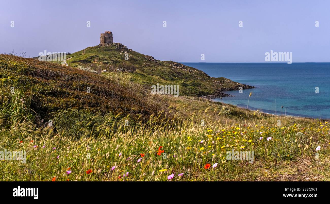 Halbinsel Sinis und historische Ruinen, area archeologica di Tharros Archäologisches Museum, Tharros, Europa, Provinz Oristano, Italien ACHTUNGxMINDESTHONORARx60xEURO *** Penisola del Sinis e rovine storiche, area archeologica di Tharros Archaeological Museum, Tharros, Europa, Provincia di Oristano, Italia ATTENTIONxMINDESTHONORARx60xEURO Foto Stock
