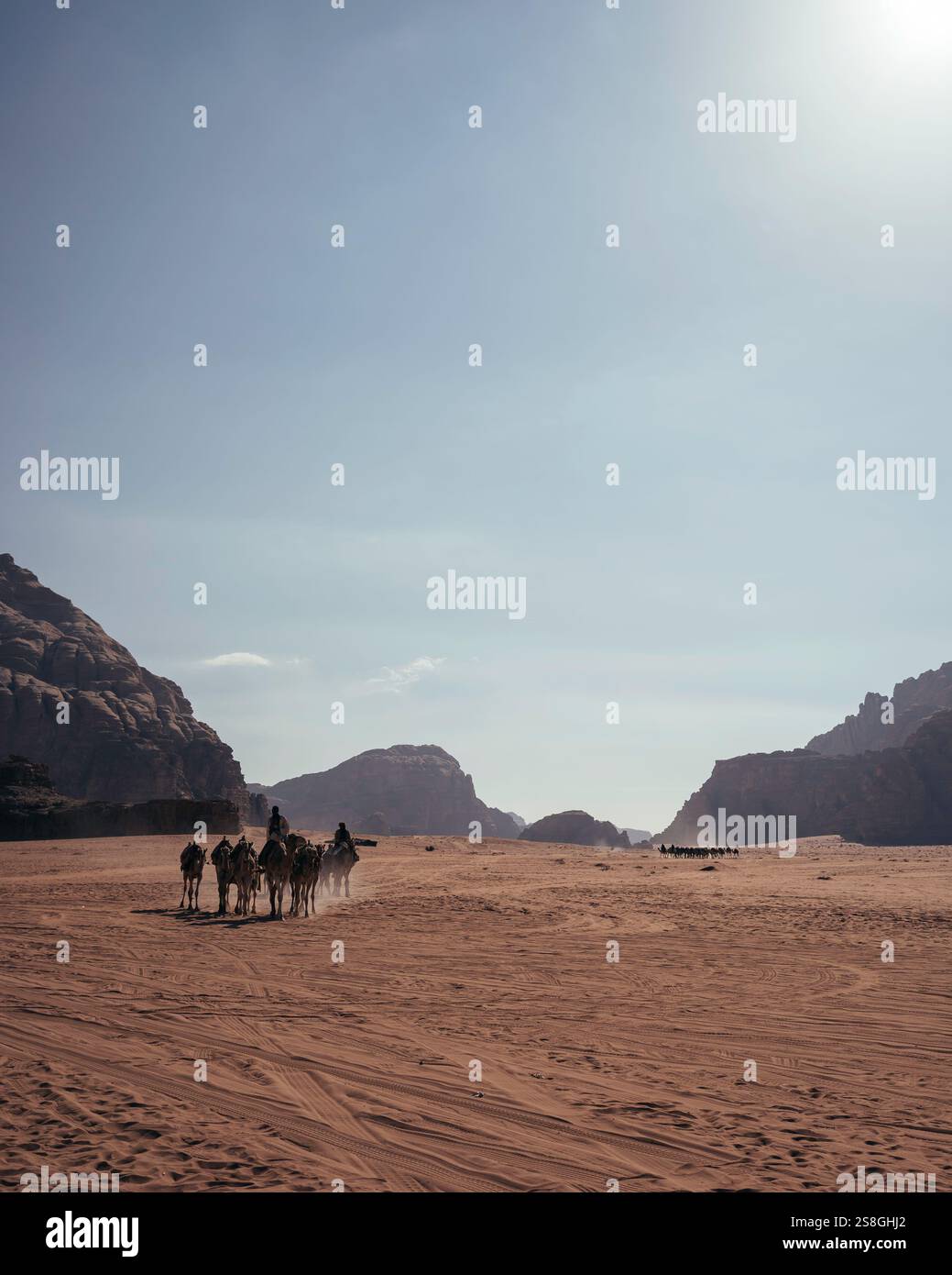 Beduino con il suo gregge di cammelli che cavalcano nel deserto di Wadi Rum, in Giordania. Foto Stock