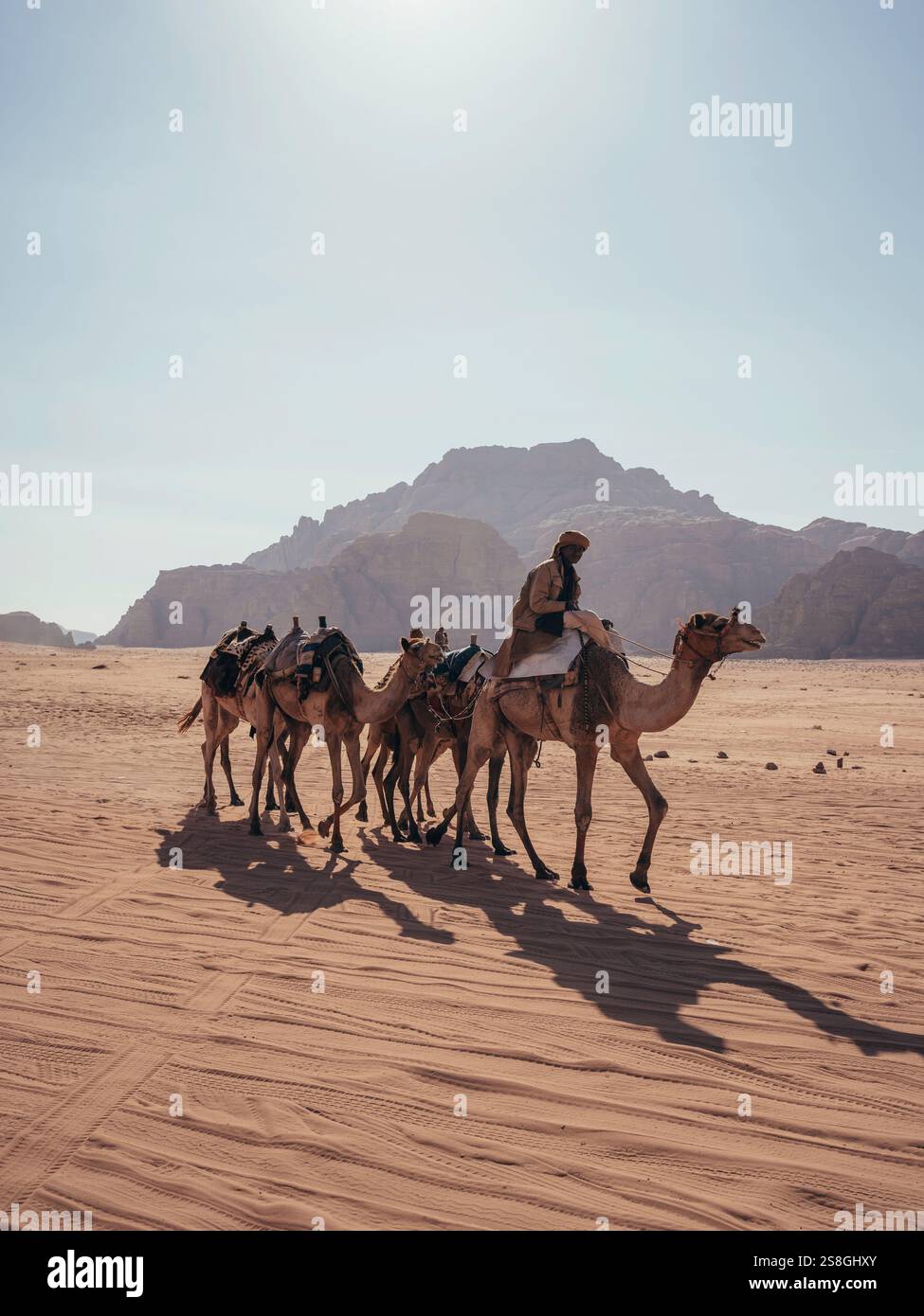Beduino con il suo gregge di cammelli che cavalcano nel deserto di Wadi Rum, in Giordania. Foto Stock