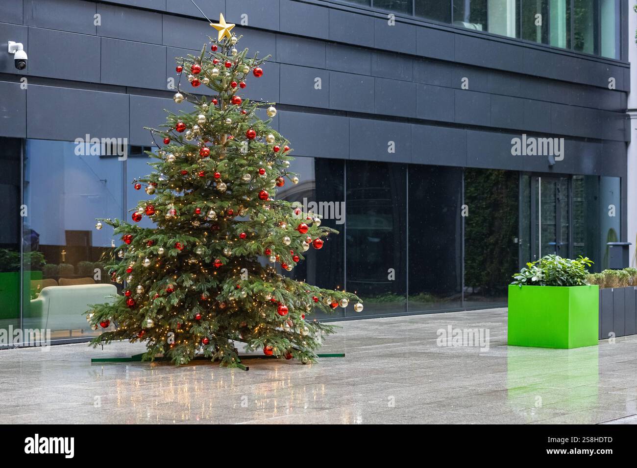 Albero di Natale splendidamente decorato adornato con ornamenti rossi e dorati, luci accese e una stella dorata sulla parte superiore durante la pioggia limpida Foto Stock