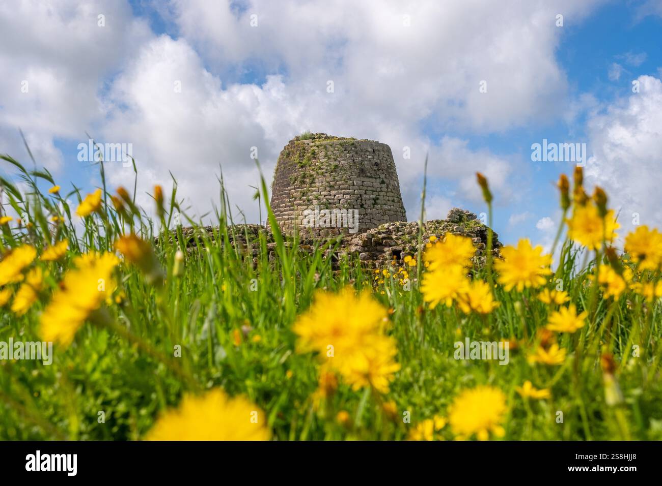Nuragici, monumento Nuraghe Santu Antine, edifici preistorici a torre della cultura di Bonnanaro, sito storico, luogo di culto, sito di sepoltura o. Foto Stock
