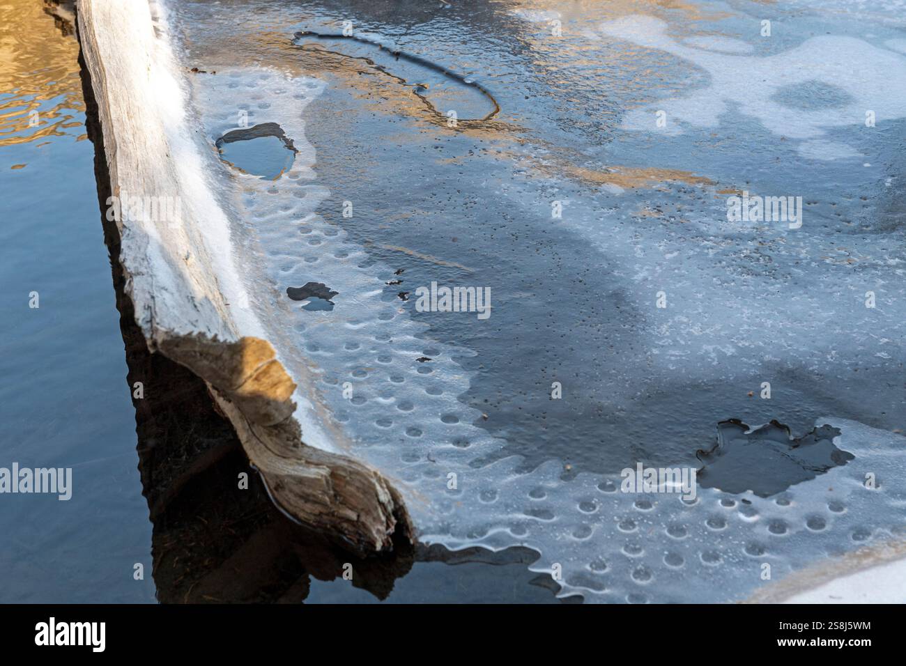 Lago parzialmente congelato con motivi ghiacciati sulla superficie formati dal gas metano emesso dai tronchi di legno in pessimo stato. Grotto Pond, Alberta, Canada. Foto Stock
