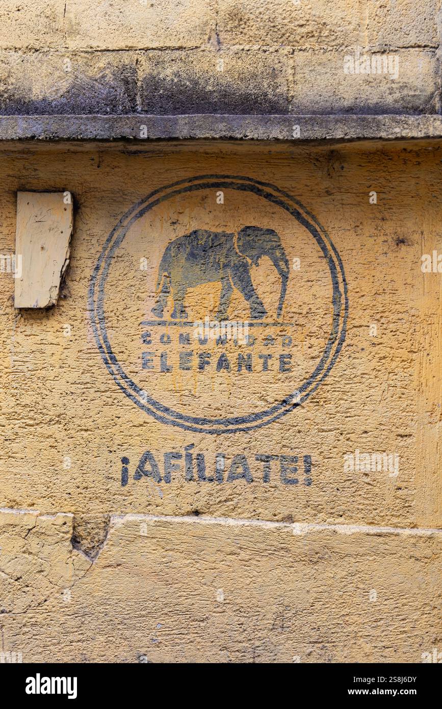Santiago Atitlan, Solola, Guatemala. 13 marzo 2024. Stencil del logo della Comunidad Elefante, o Comunità degli Elefanti, un partito politico di destra i Foto Stock