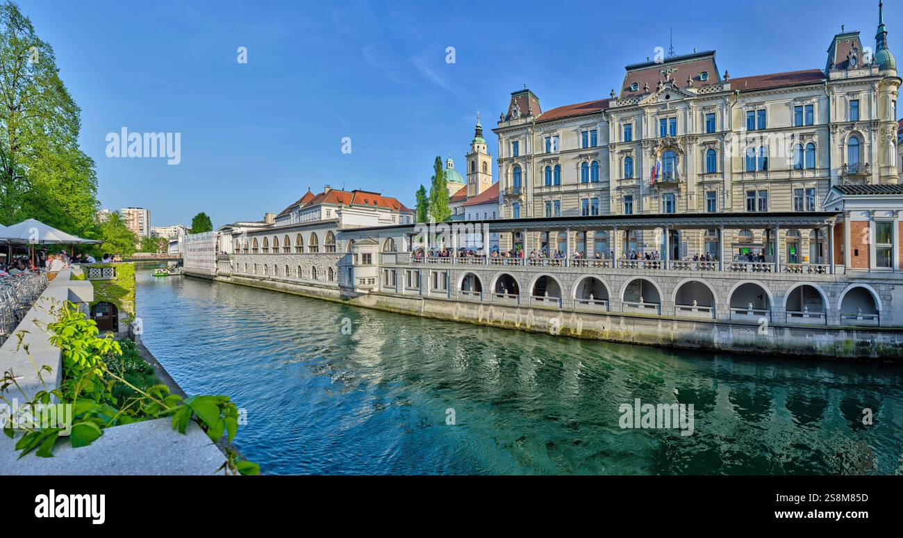 Fiume Ljubljanica a Ljubljana, Slovenia Foto Stock Fiume Ljubljanica a Ljubljana, Slovenia Foto Stock