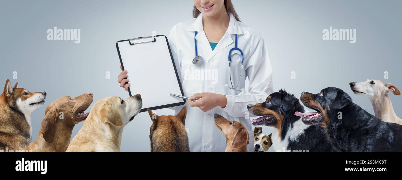 Veterinaria professionale circondata da cani in attesa di un consulto, sta mostrando un appunti e punta con una penna Foto Stock