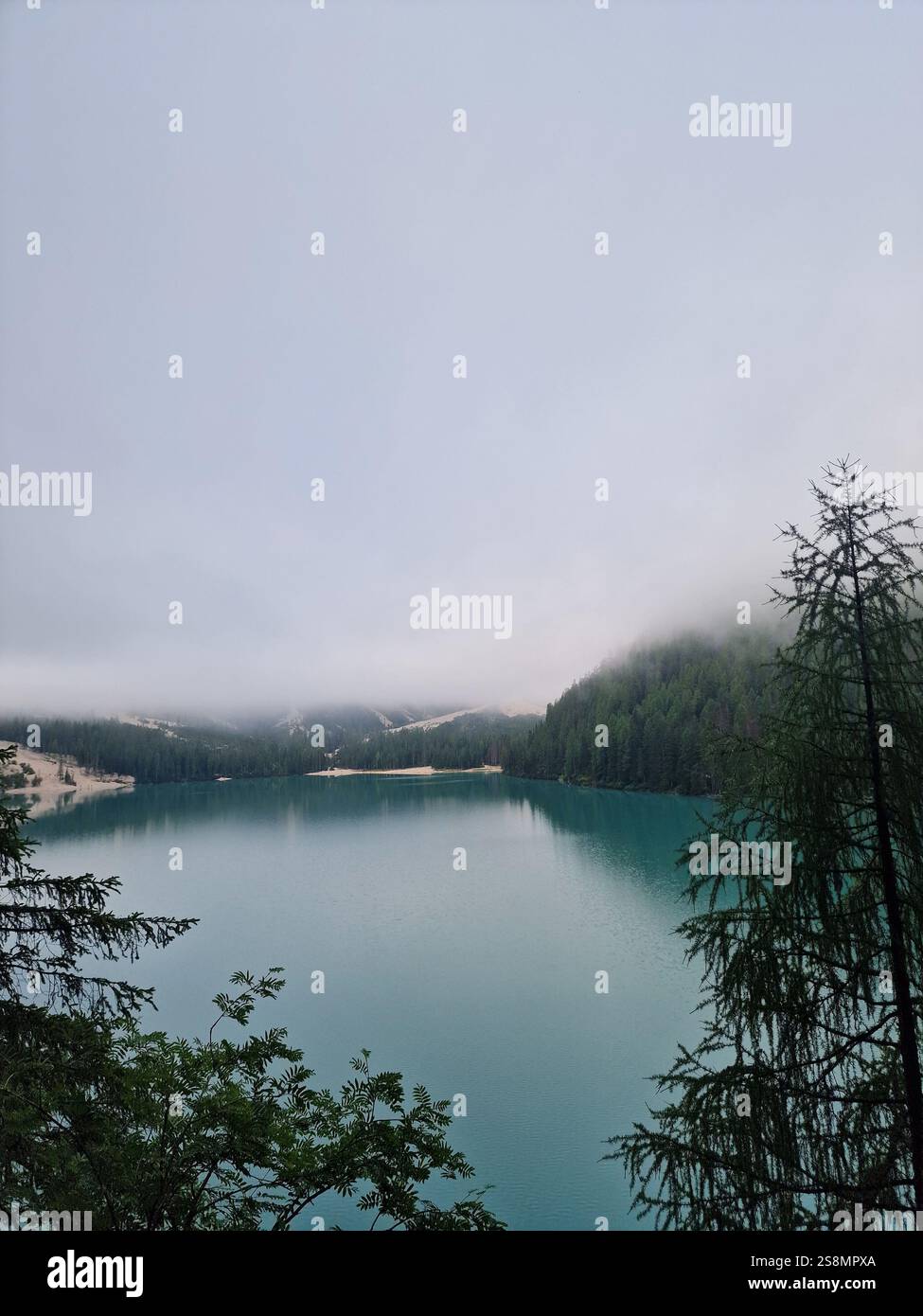 Lago tranquillo avvolto da nebbia fitta, nebbia, Lago di Braies, Dolomiti, Italia, paesaggio sereno, un senso di calma, atmosfera tranquilla Foto Stock