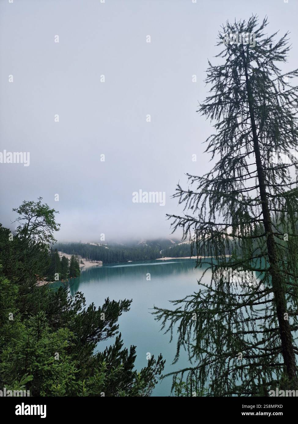 Lago tranquillo avvolto da nebbia fitta, nebbia, Lago di Braies, Dolomiti, Italia, paesaggio sereno, un senso di calma, atmosfera tranquilla Foto Stock