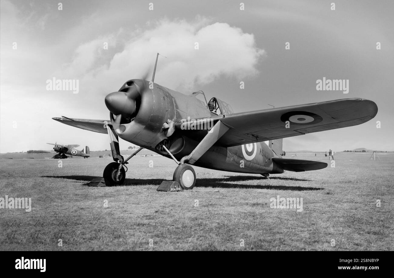 Il Brewster F2A Buffalo, un aereo da caccia americano che ha preso servizio all'inizio della seconda guerra mondiale. Nel 1939 è diventato il primo aereo da caccia monoplano della Marina degli Stati Uniti ed è stato uno dei primi monoplani degli Stati Uniti con un gancio di arresto e altre modifiche per le portaerei. Tuttavia il Buffalo era in gran parte obsoleto quando gli Stati Uniti entrarono in guerra, essendo instabile e sovrappeso, soprattutto se paragonato al giapponese Mitsubishi A6M Zero. Foto Stock