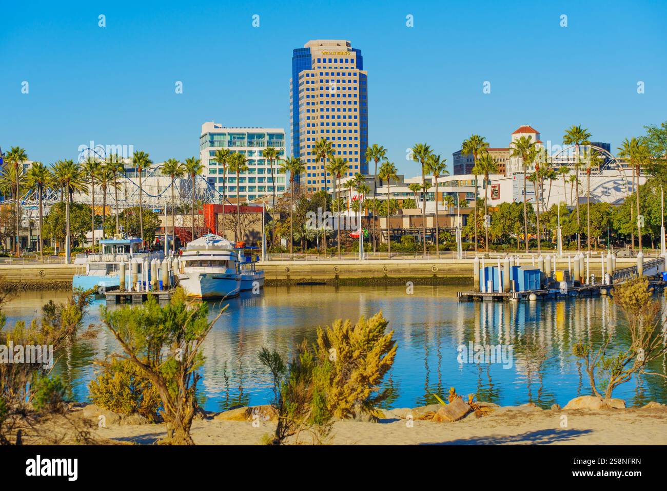 Long Beach, California - 15 gennaio 2025: Vista panoramica delle barche al molo con palme e skyline urbano a Long Beach, California. Foto Stock