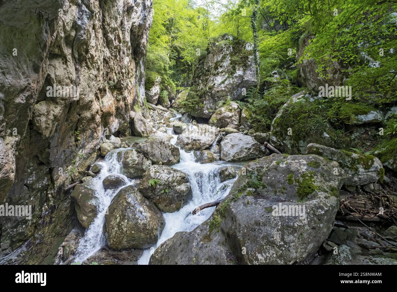 Sass Corbee, Lago di Como, Lago di Como, Italia, Europa Foto Stock