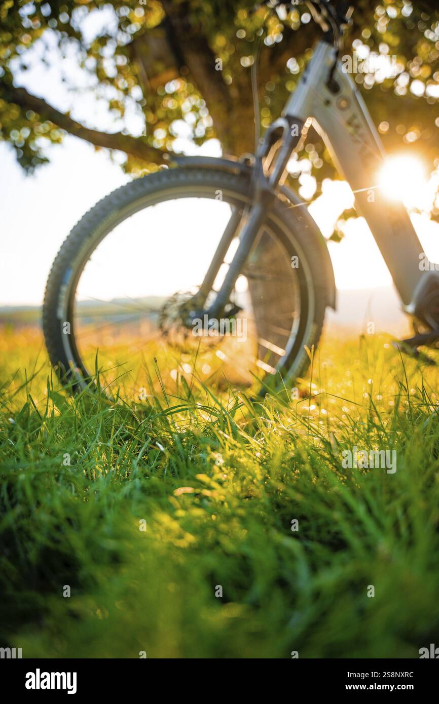 Una bicicletta nell'erba sotto un albero è illuminata dal sole, dalla bicicletta elettrica, dalla bicicletta forestale, dal Calw, dal distretto di Calw, foresta Nera, Germania, Europa Foto Stock