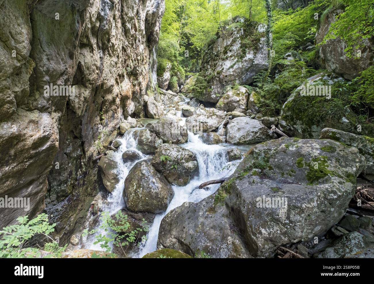 Sass Corbee, Lago di Como, Lago di Como, Italia, Europa Foto Stock