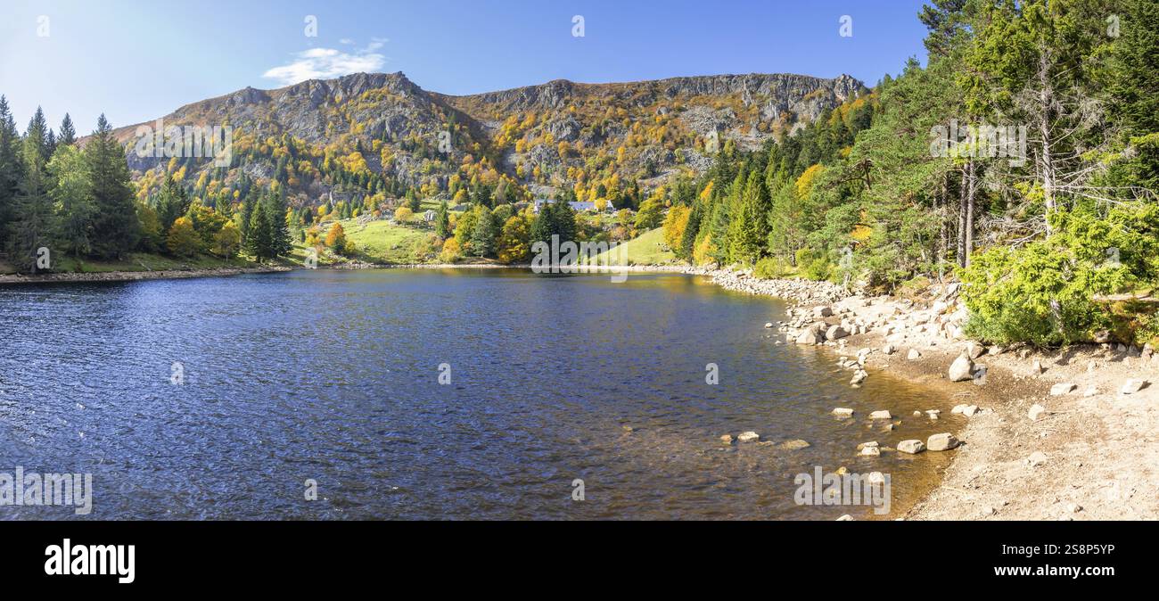 Un'immagine di uno stagno di trote in Alsazia Foto Stock
