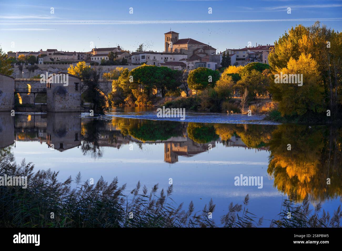 Vista della città di Zamora, dei mulini ad acqua e della chiesa di San Pedro sullo sfondo in autunno al tramonto riflesso nel fiume Foto Stock