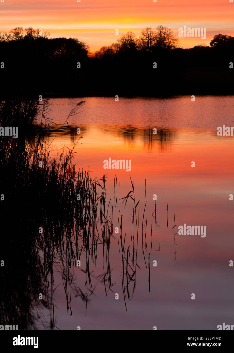 Tipico tramonto nel paesaggio rurale della Norfolk, Inghilterra Foto Stock