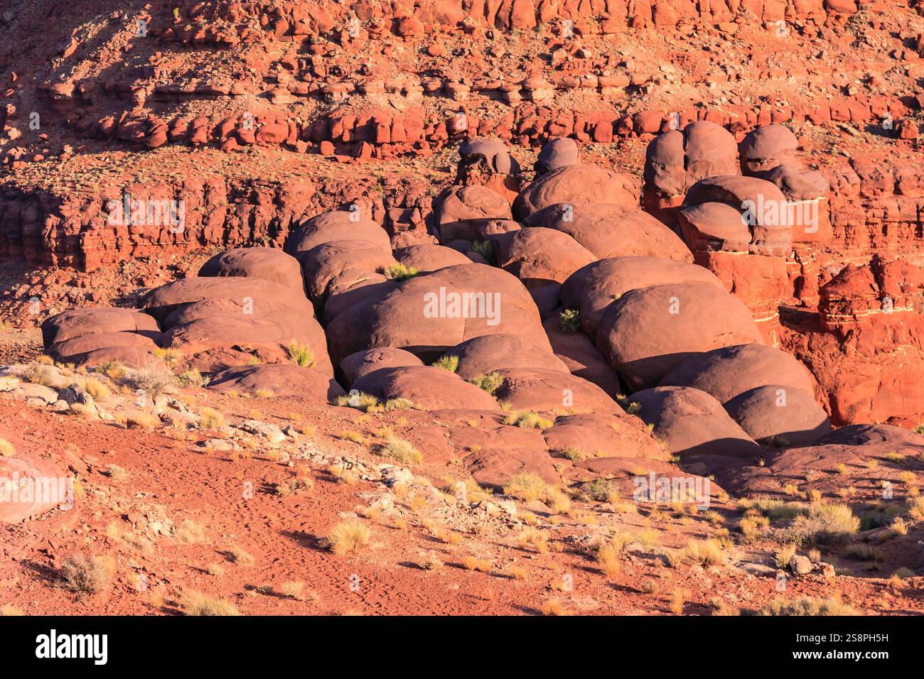 Una collina rocciosa con alcune piccole piante che crescono nelle crepe. Le piante sono verdi e sembrano prosperare nonostante l'ambiente duro Foto Stock Una collina rocciosa con alcune piccole piante che crescono nelle crepe. Le piante sono verdi e sembrano prosperare nonostante l'ambiente duro Foto Stock