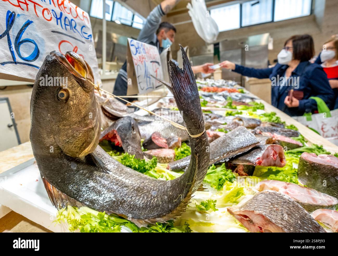 Mercato, grande pesce al mercato del pesce, Acquirente e venditore, Cagliari, Europa, città metropolitana di Cagliari, Italia Foto Stock