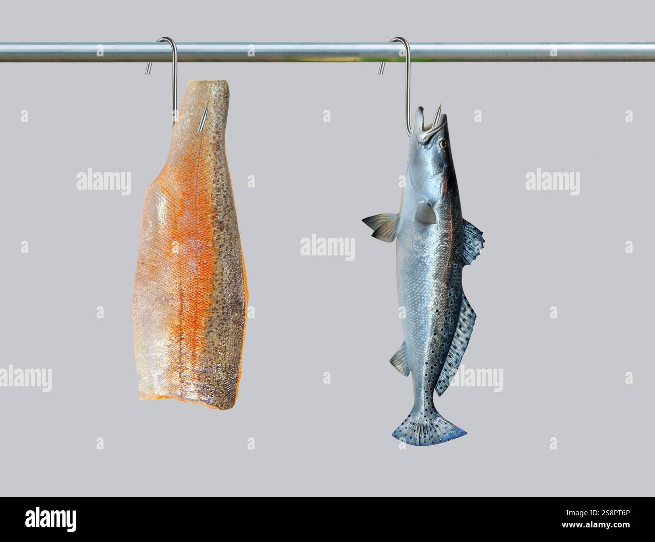 Pesce al posto della carne, immagine simbolica, cibo e nutrizione, fotomontaggio Foto Stock
