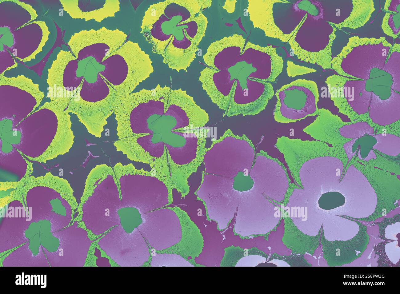 Bella arte astratta di tecniche di pittura di marbling Ebru sull'acqua con vernici acriliche Foto Stock