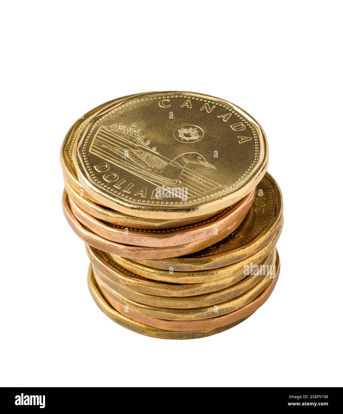 Una pila di monete canadesi di loonie dorate da un dollaro isolata sul bianco Foto Stock