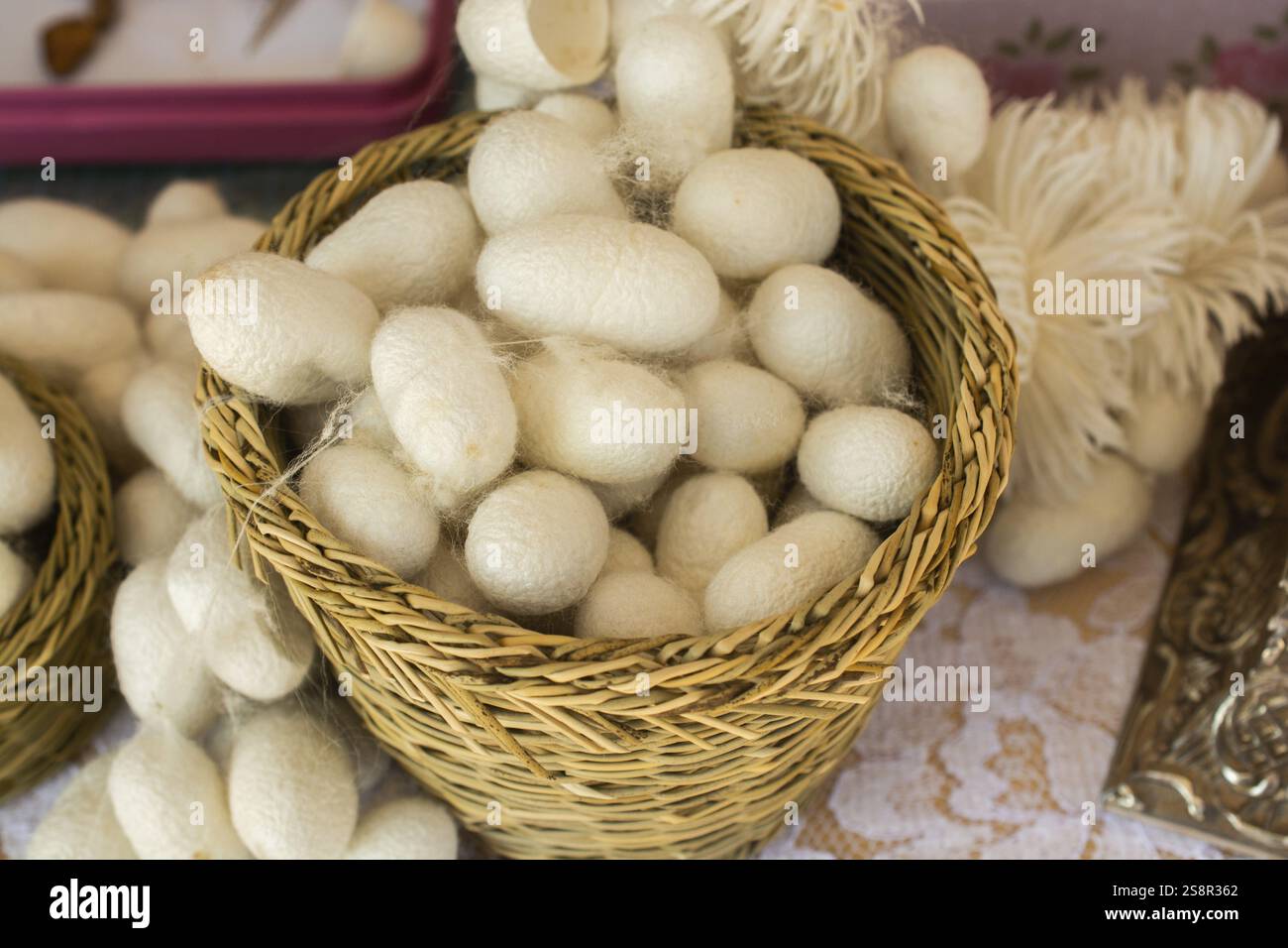 Un sacco di bianco bozzoli di bachi da seta nella vista Foto Stock