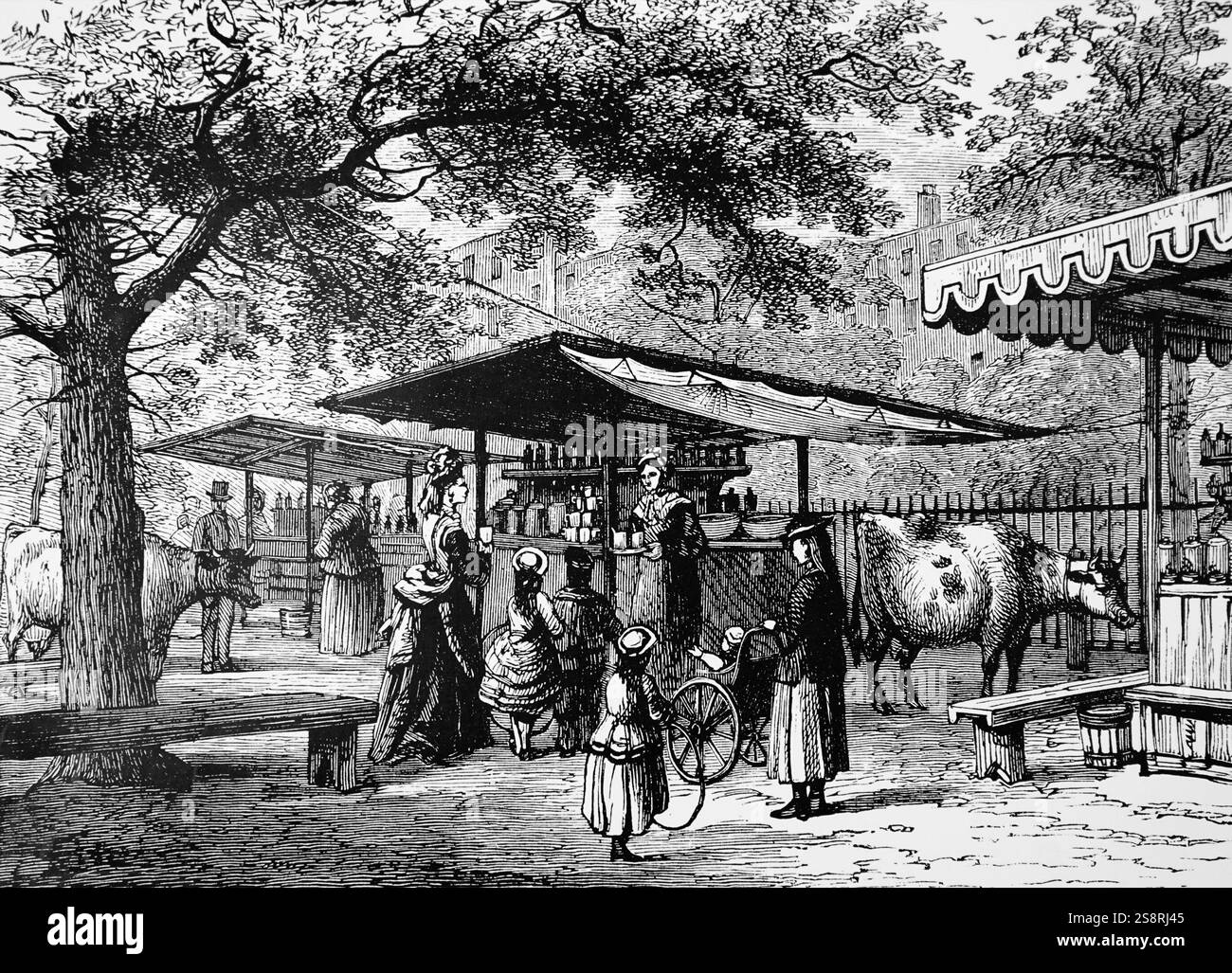Incisione raffigurante i fornitori di latte in Spring Gardens, St James Park, Londra. Datata del XIX secolo Foto Stock