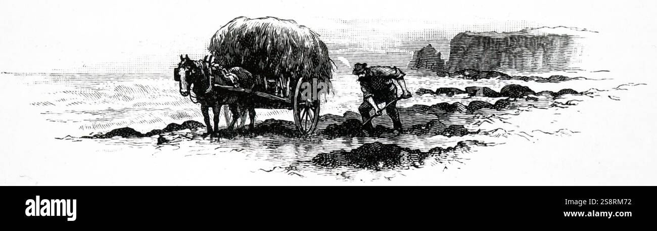 Incisione raffigurante un uomo per raccogliere le alghe che aveva lavato fino sulla spiaggia. In data xx secolo Foto Stock