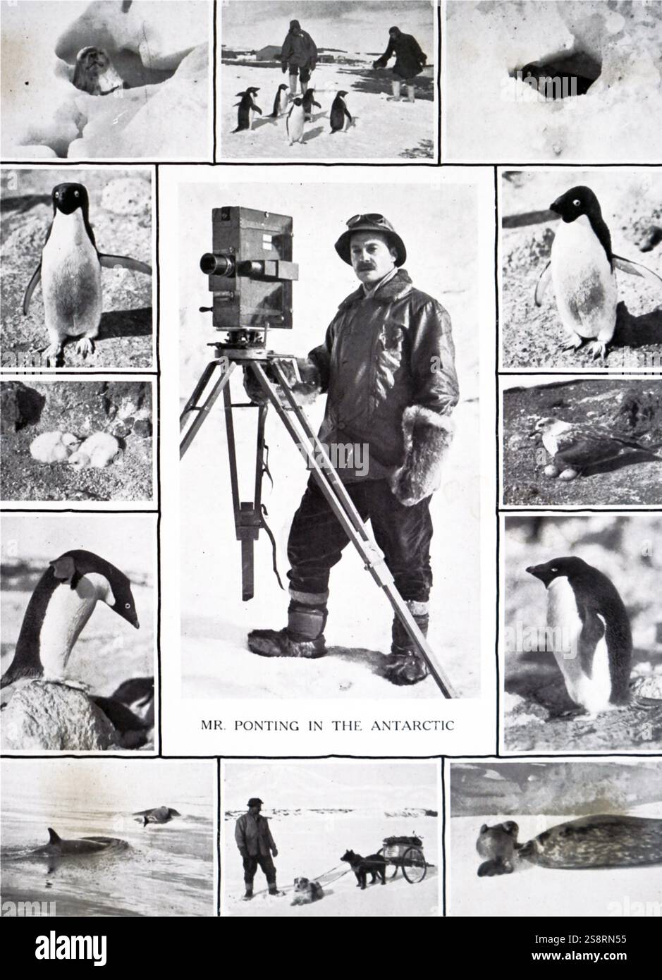 Fotografia di Herbert Ponting (1870-1935) un fotografo professionista. In data xx secolo Foto Stock