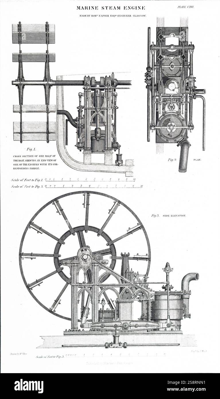 Illustrazione raffigurante una marina motore di vapore. Inventato da Robert Napier (1791-1876) un scozzese ingegnere marino. Datata del XIX secolo Foto Stock