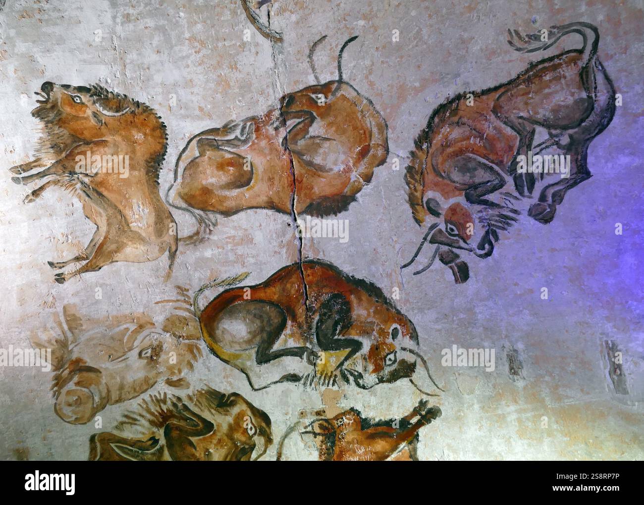 Pittura rupestre trovata nella Grotta di Altamira, situato in Cantabria, Spagna, risalente al Paleolitico Superiore periodo. Foto Stock