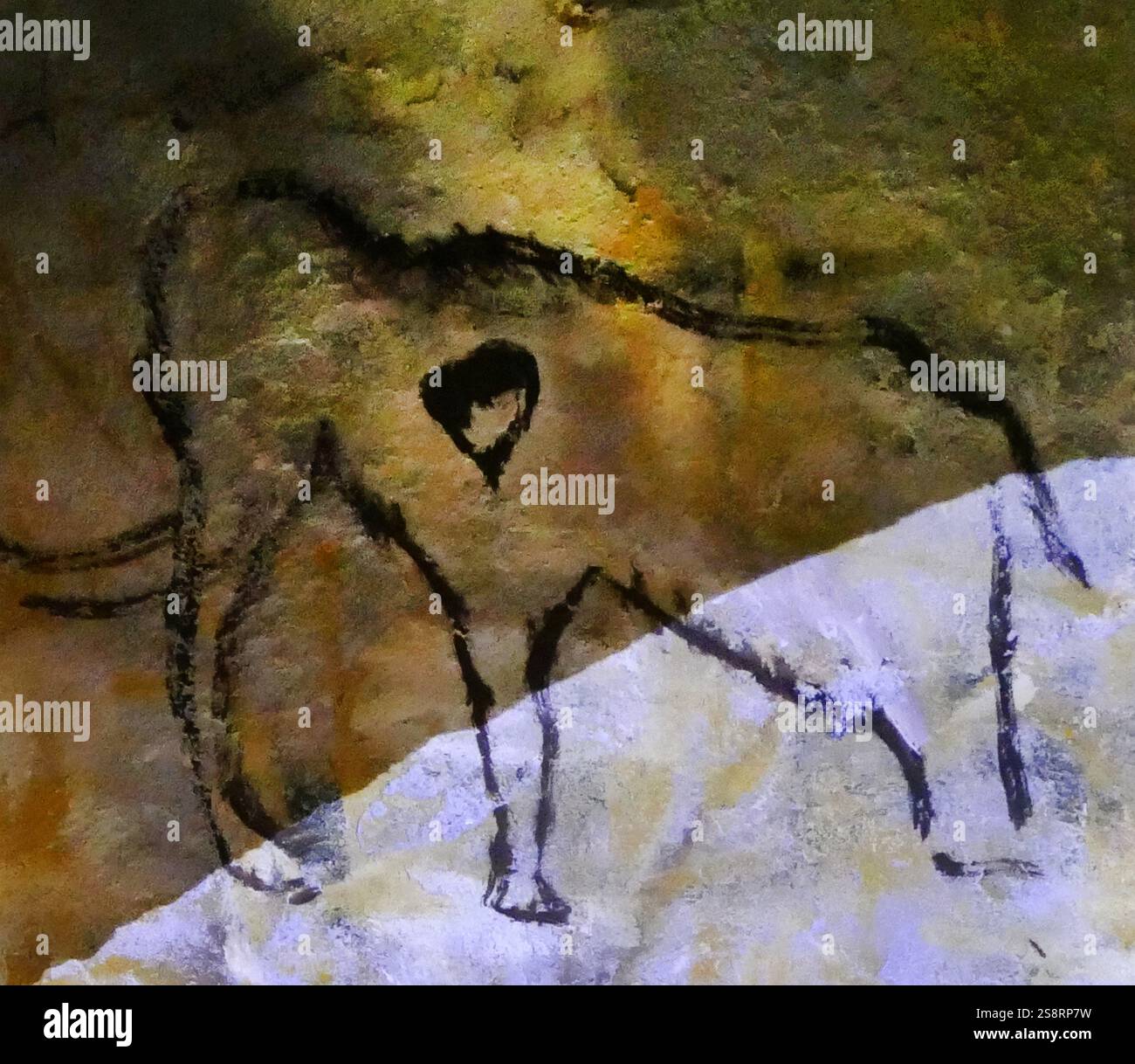 Pittura rupestre trovata nella Grotta di Altamira, situato in Cantabria, Spagna, risalente al Paleolitico Superiore periodo. Foto Stock